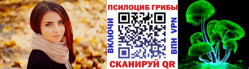 Псилоцибиновые грибы ЛСД  ссылка на мегу ТОР  Альметьевск  закладки 
