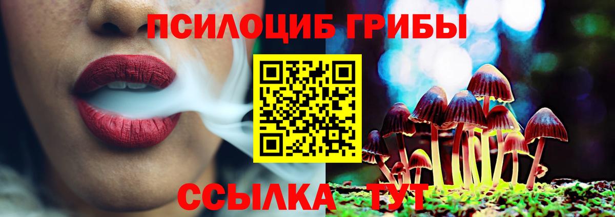 Галлюциногенные грибы Psilocybine cubensis Альметьевск